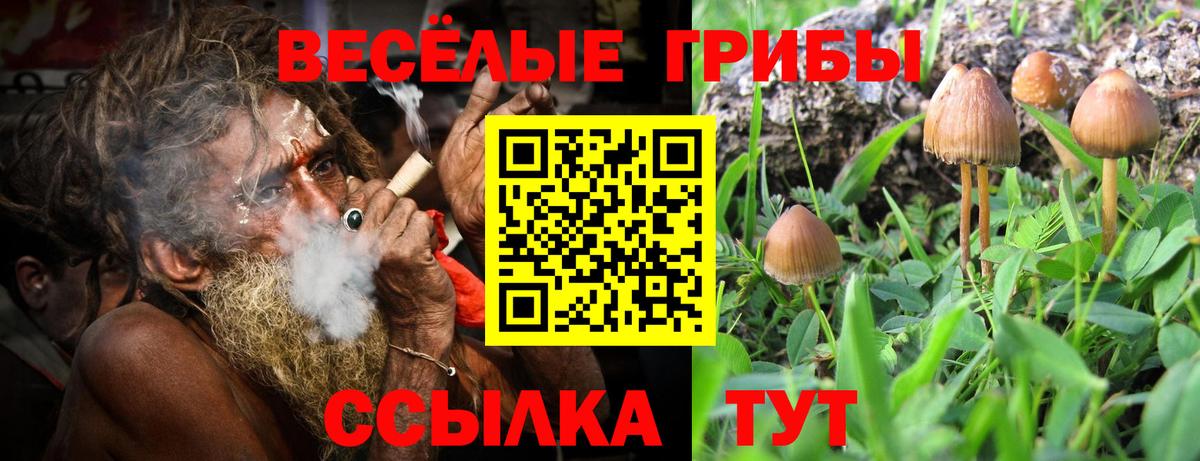 Зима  Галлюциногенные грибы мухоморы  Вход с VPN 