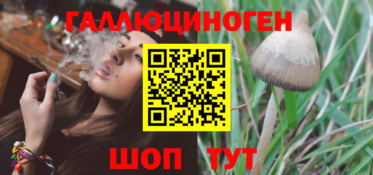 Галлюциногенные грибы прущие грибы Зима